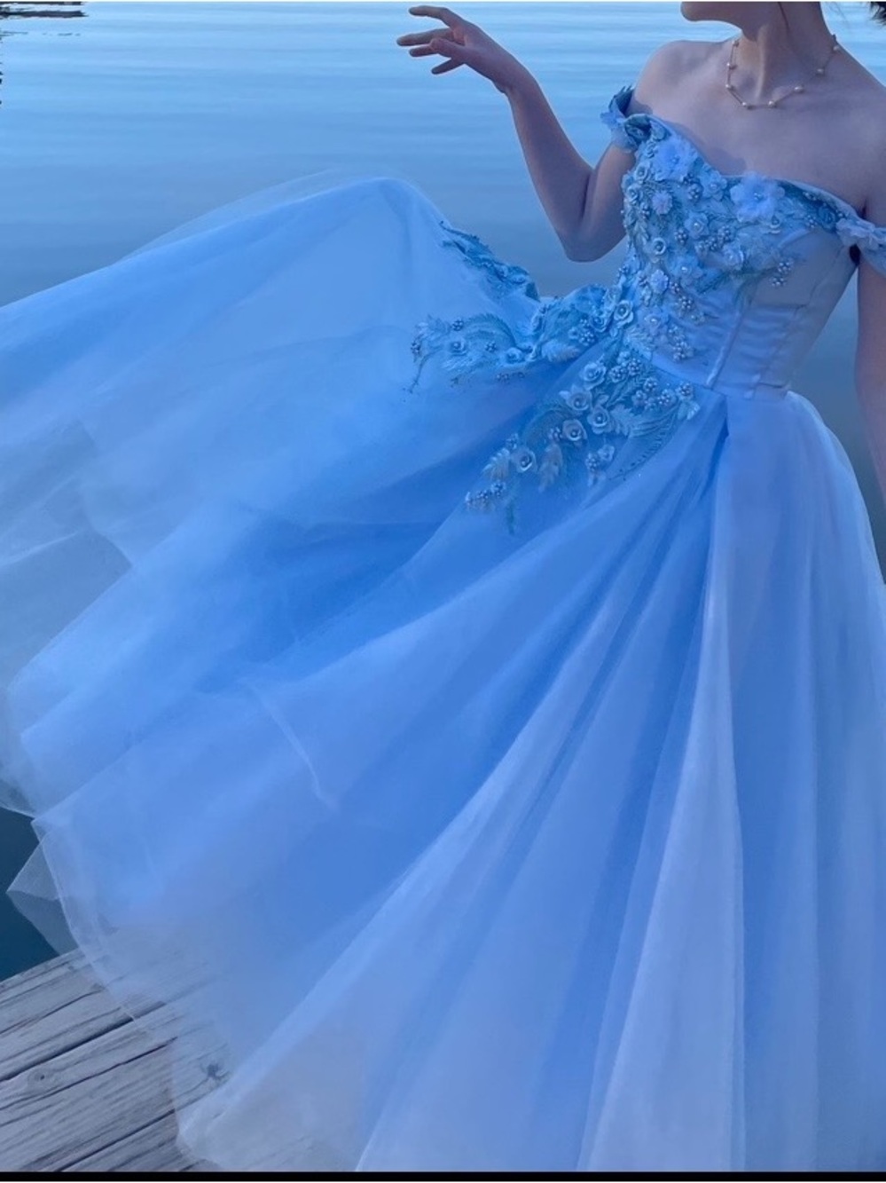 Girls Light Blue Floral Applique Tulle Dress